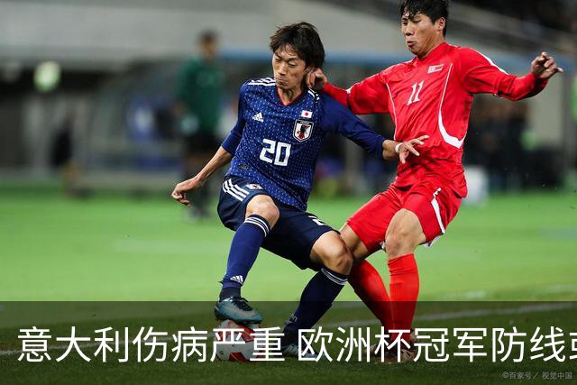意大利伤病严重 欧洲杯冠军防线或全部无法上场